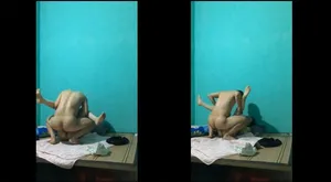 Dập nát bướm gấu cũ